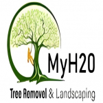 MyH20 Tree removal