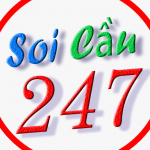 SOICAU247 co