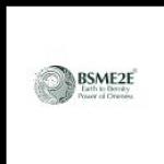 Ecommerce Service Provider BSMe2e