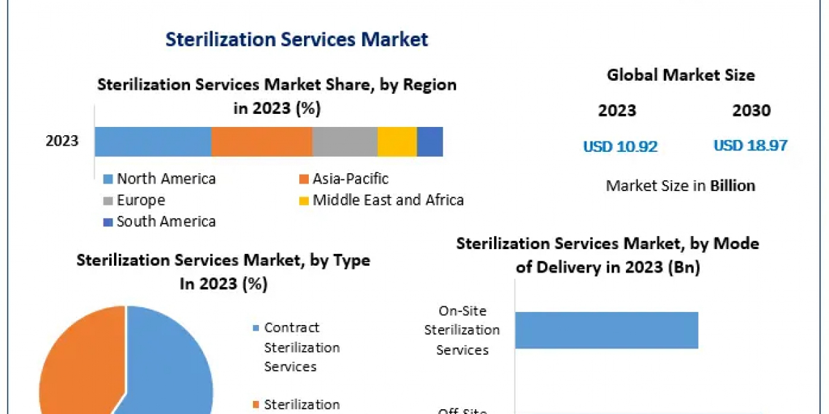 Sterilization Services Market size: Sustainable Practices, Efficiency Improvements, and Future Opportunities