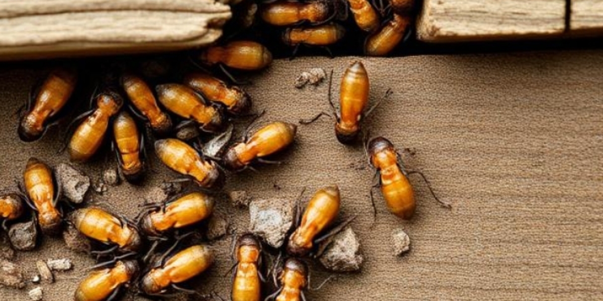 Detecting Termites in Norfolk, VA: Protect Your Home with Detect Termite & Services