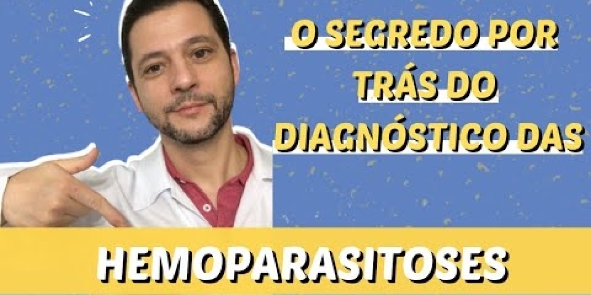 Cuidando do Seu Melhor Amigo: Dicas Essenciais para Cães com Insuficiência Renal