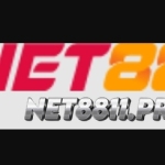 Net 88