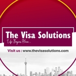 The Visa Solutions