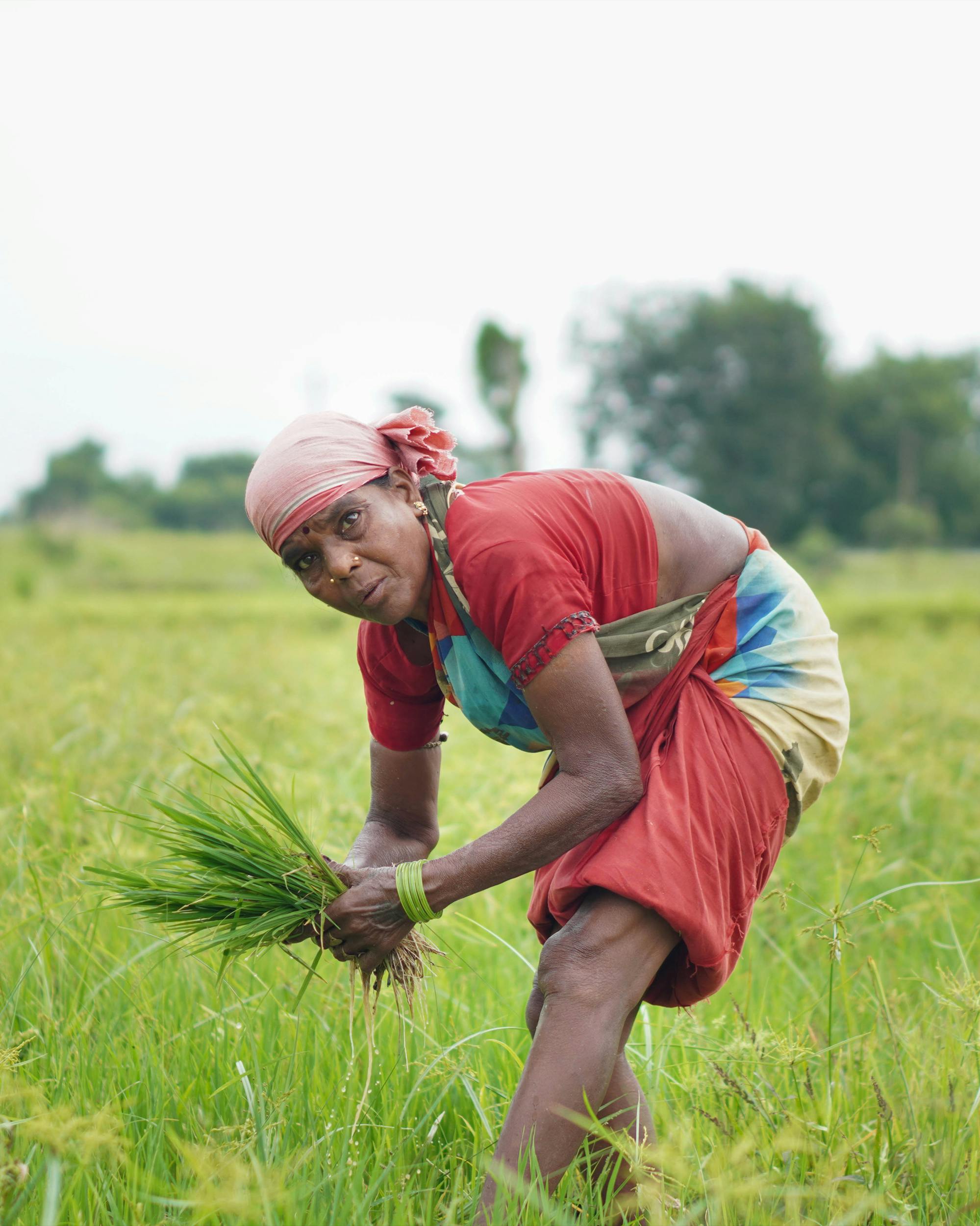 Agro-Loan